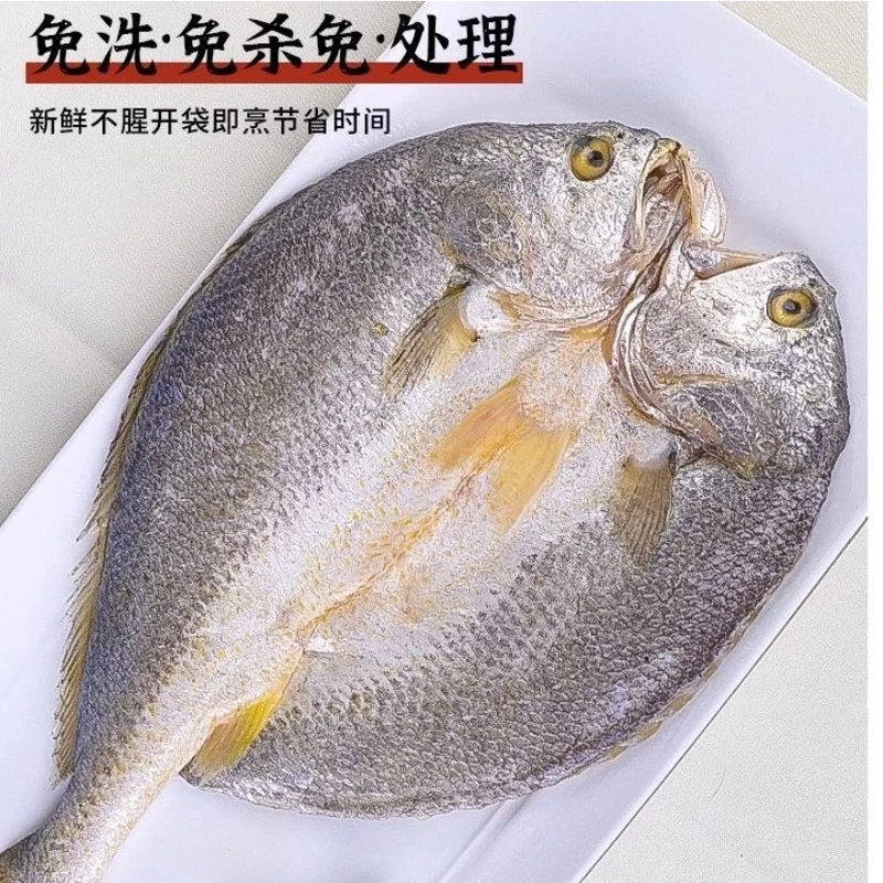 【乌市发货】深海开背鲈鱼550g—600g大鲈鱼