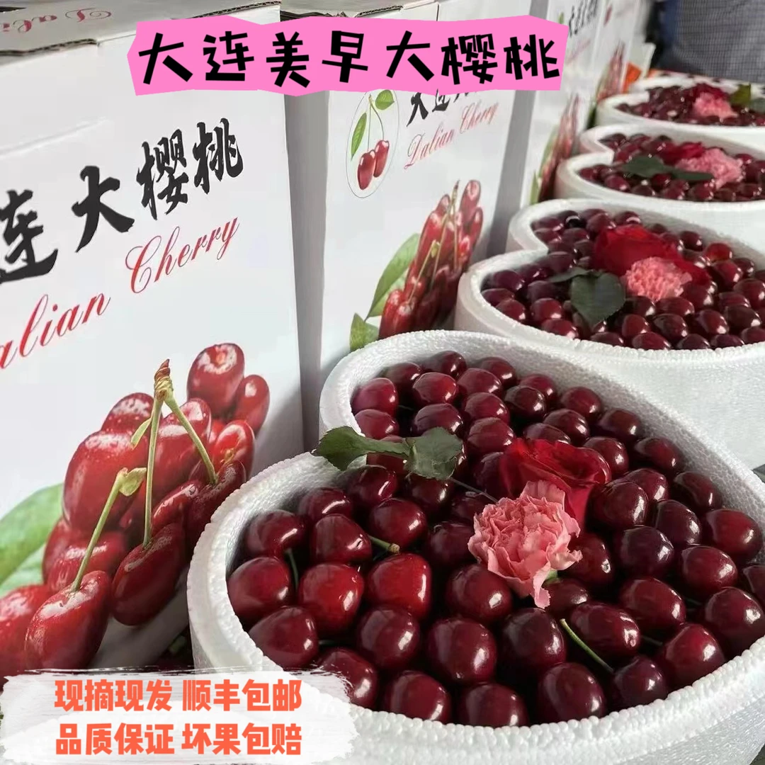 【爱心礼盒】大连美早大樱桃现摘现发顺丰空运4J2.8斤 内附果径卡