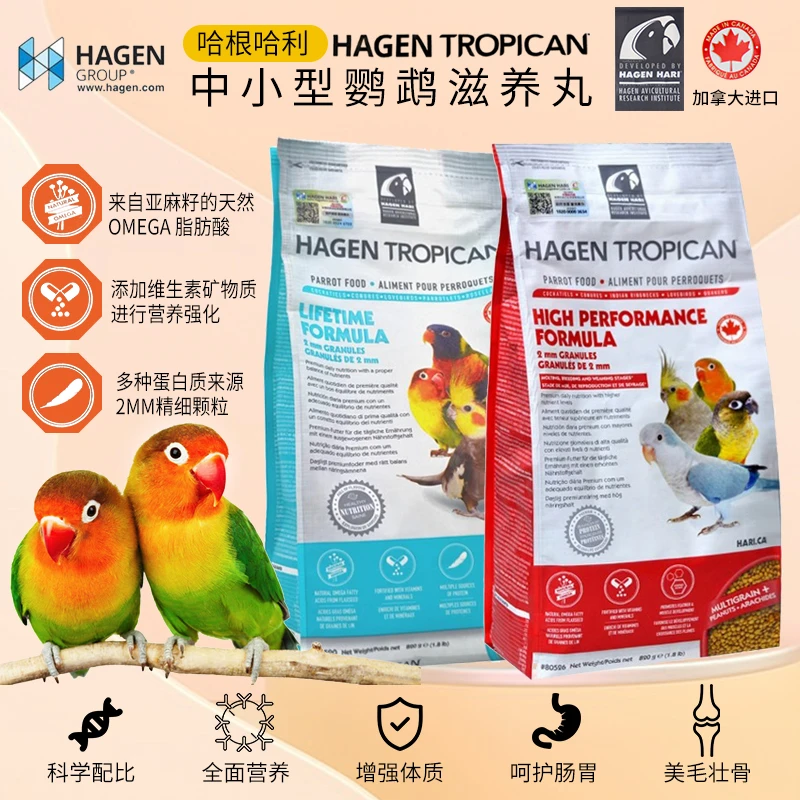 【哈根滋养丸】鹦鹉日常高能小颗粒虎皮牡丹玄凤粮食饲料哈根哈利