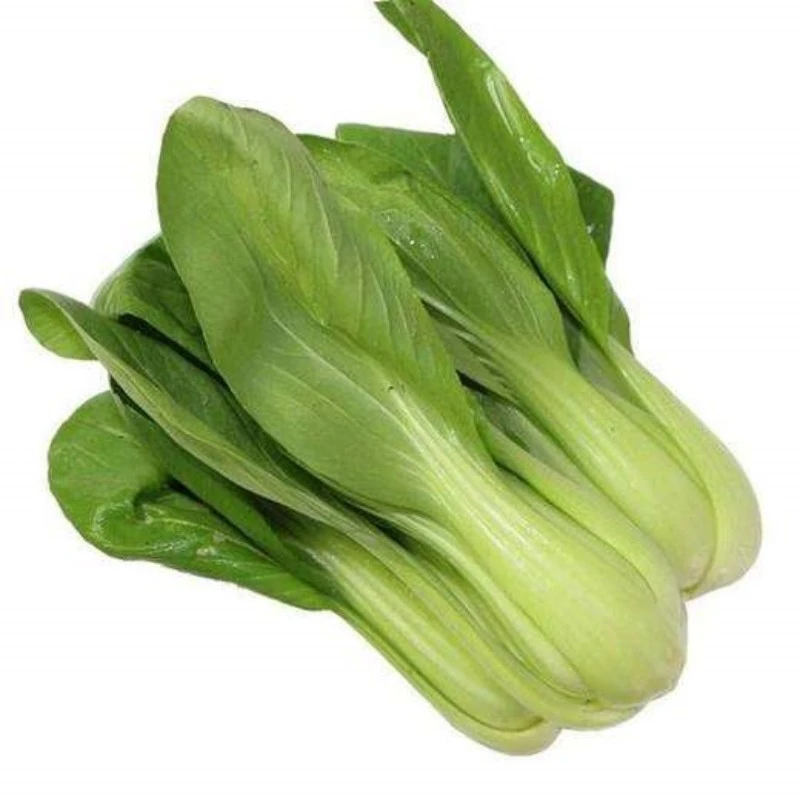 小油菜新鲜现挖3斤包邮山东特产蔬菜农家种植小青菜