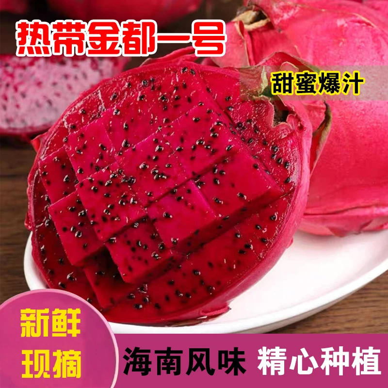 海南正宗金都一号红心火龙果新鲜现摘香甜美味应季水果甘甜如蜜