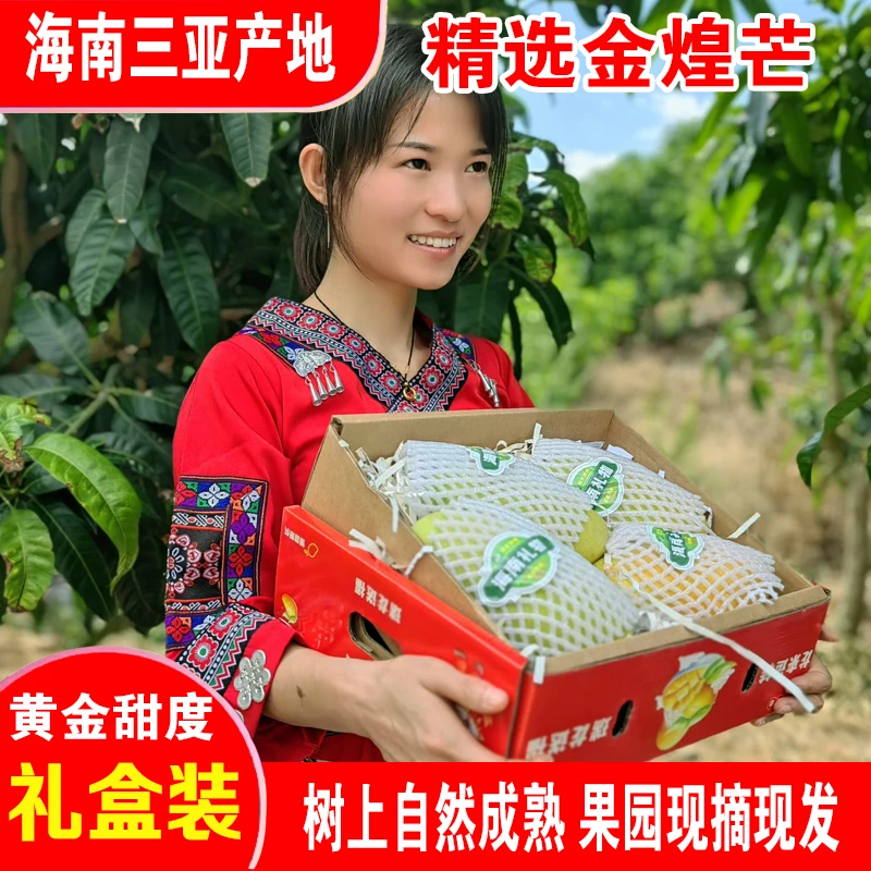 【顺丰直达+高档礼盒】海南三亚金煌芒精品热带芒果树熟五斤大果