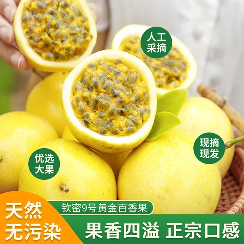 海南黄金百香果钦蜜9号酸甜多汁产地直发新鲜现摘饱满香甜爽口