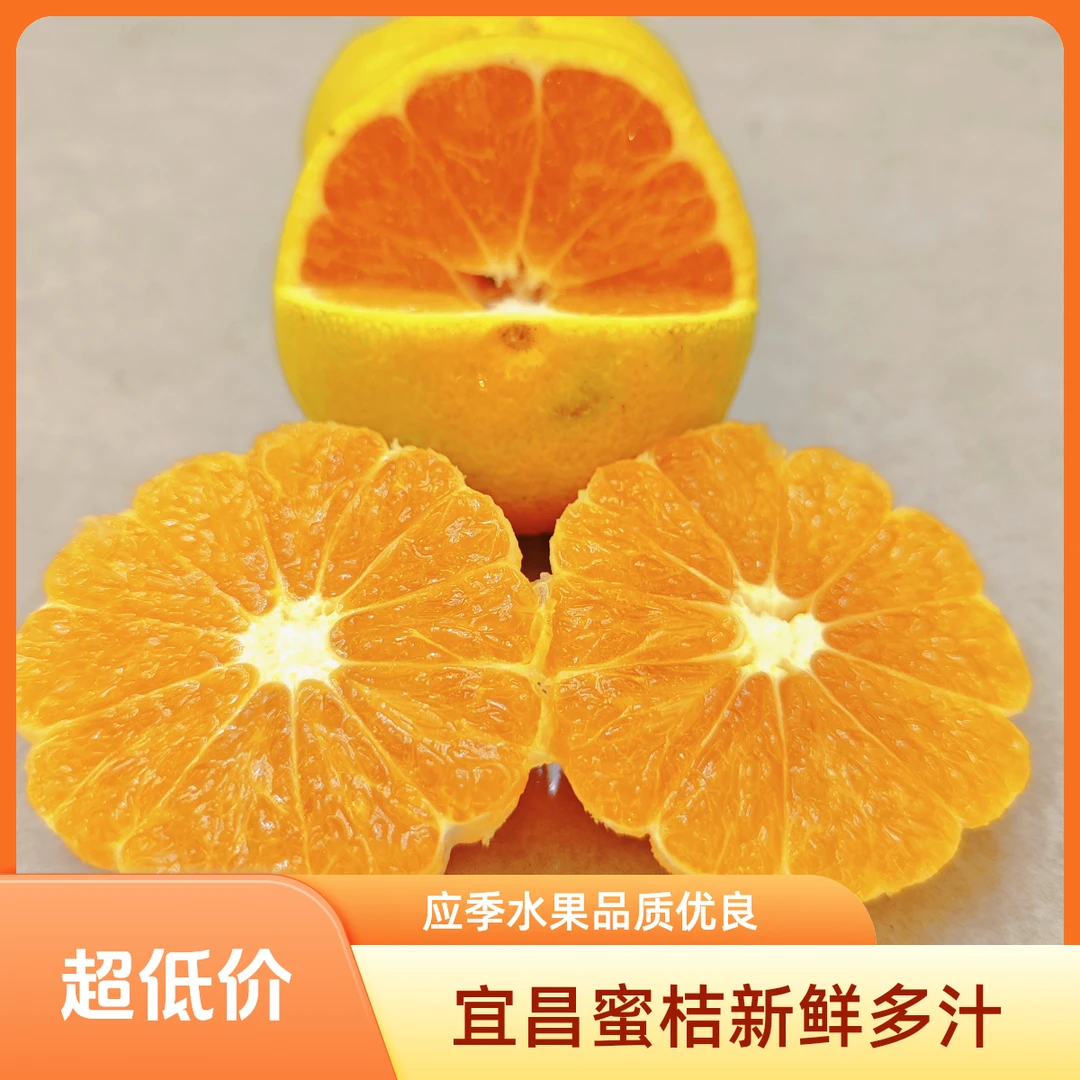 正宗宜昌蜜桔水果新鲜蜜橘子秋季应季无籽桔子青薄皮多汁现摘现发