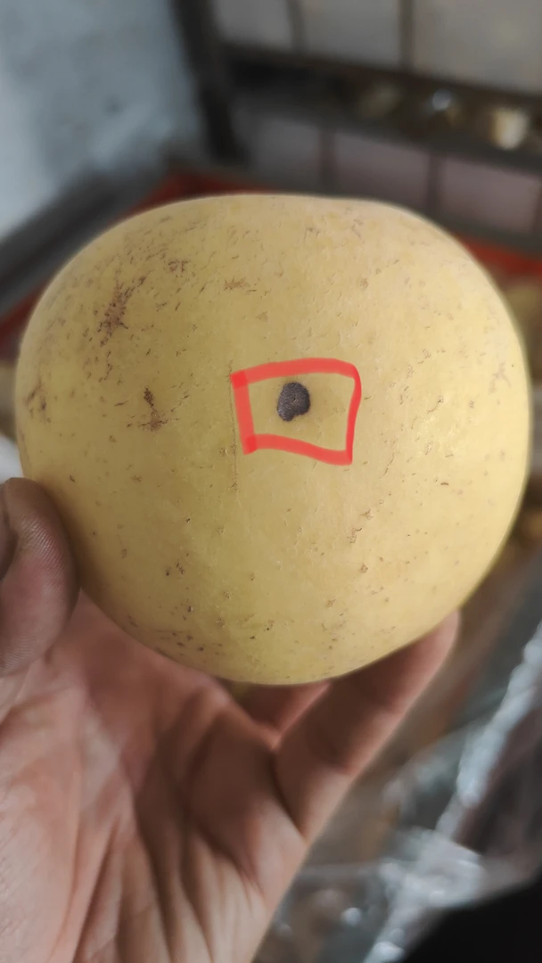 【奶油富士瑕疵果】介意瑕疵勿拍大小混发净重10斤无售后