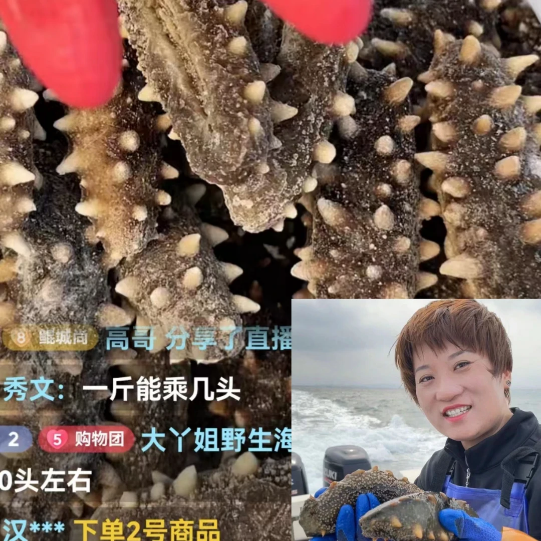 【大连深海高压海参损耗福利、介意勿拍】