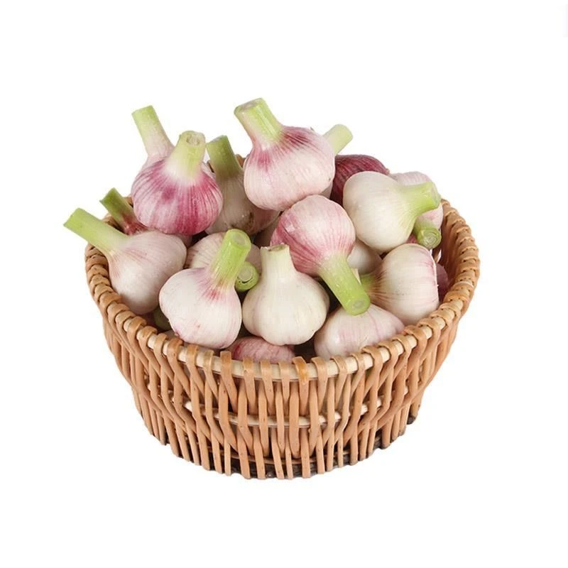 2025年新鲜紫皮大蒜鲜辣脆爽多瓣多汁现挖糖醋蒜捣蒜汁必备3斤/5