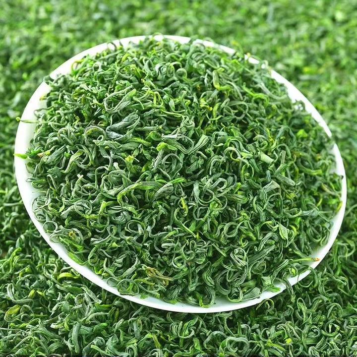 2024年新茶绿茶高山云雾茶日照足茶叶口粮茶浓香耐泡板栗香豆香足