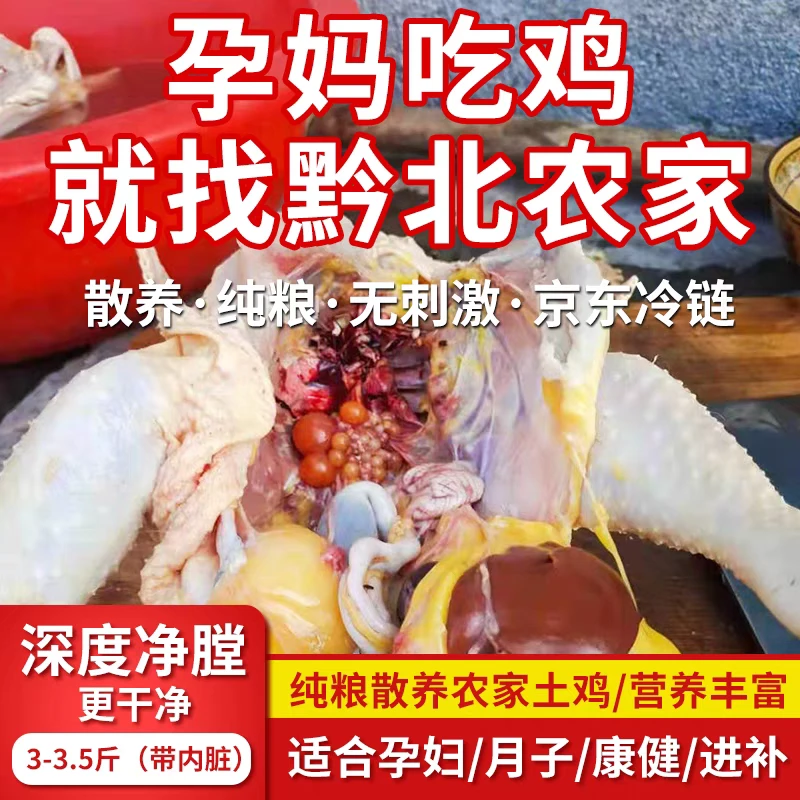 贵州农家散养老母鸡土鸡跑山鸡笨鸡黄油老母鸡新鲜现杀 顺丰空运