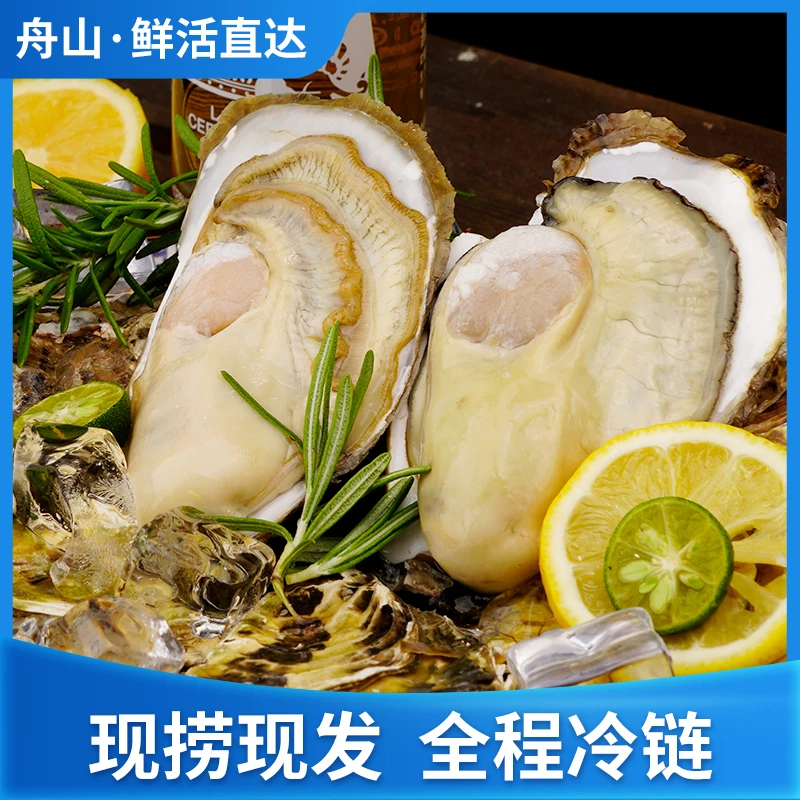 蓝屿牧岛蓝屿牧岛2KG生蚝舟山嵊泗枸杞岛东海鲜活牡蛎