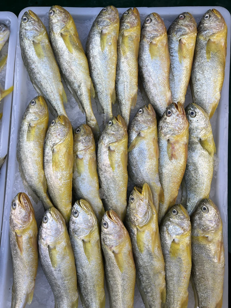 湛江新鲜黄花鱼 一斤约2-3条 帮杀损耗15-20%