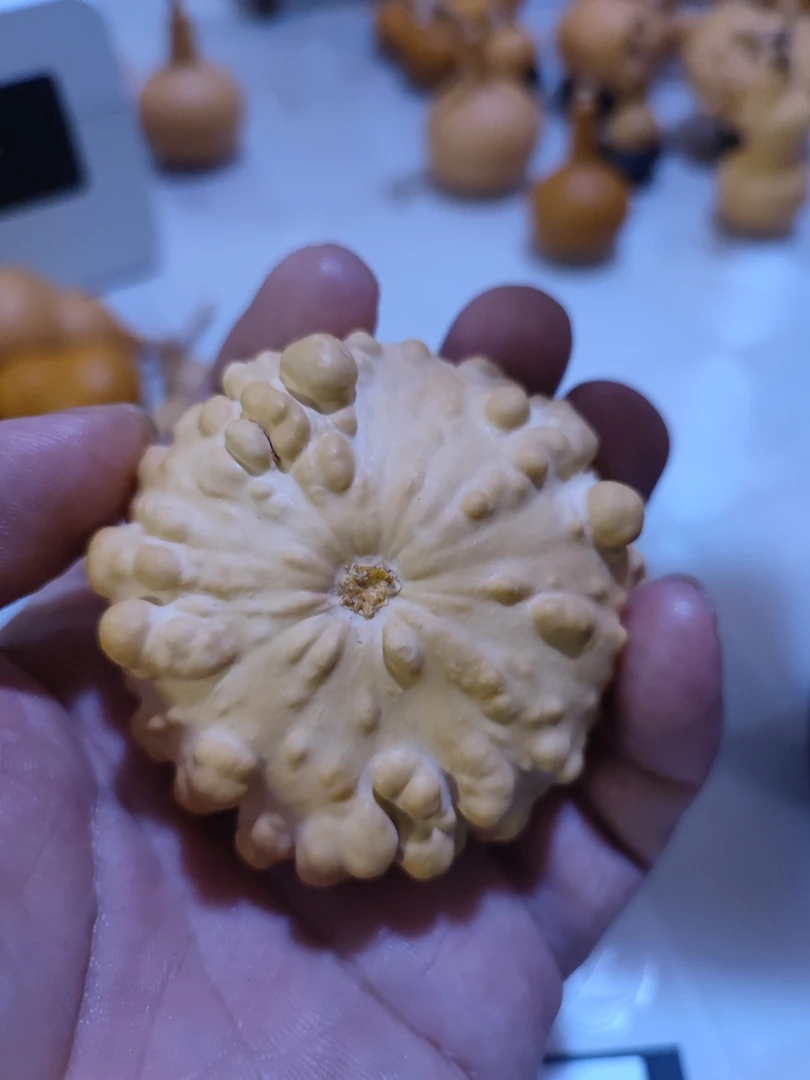 墨西哥葫芦,手掌全方位按摩保健
