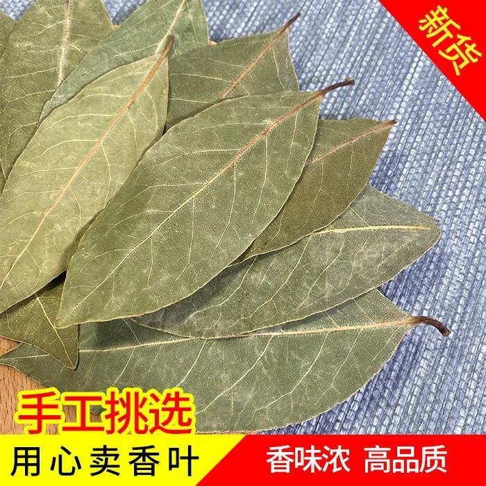 香叶无熏硫自然晒干香料卤料调味料100-500克