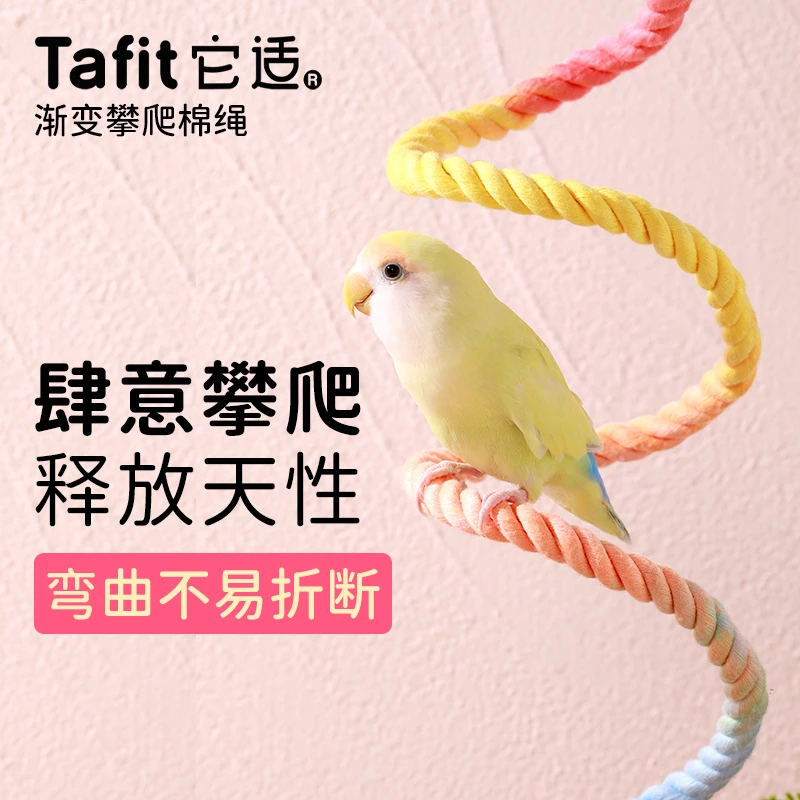 它适彩虹攀爬绳鹦鹉玩具虎皮牡丹磨爪站杆小太阳鸟玩具旋转秋千