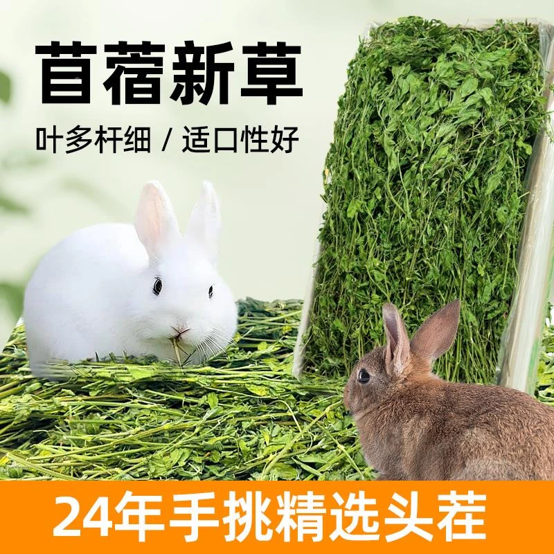 ++幼兔草料苜蓿草干晒干提摩西草段兔子干草烘干豚鼠荷兰猪龙猫饲
