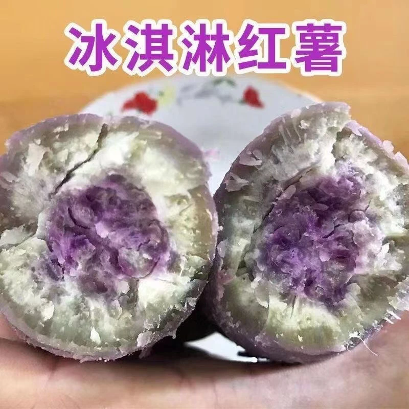 9.9元3斤【新店促销】广东沙地冰淇淋红薯一点红紫心番薯现挖现发