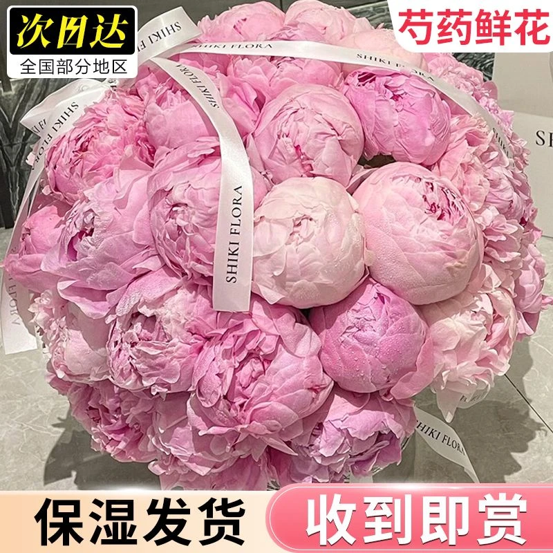 山东重瓣芍药鲜花大花苞基地直发牡丹水养鲜切花母亲节礼物