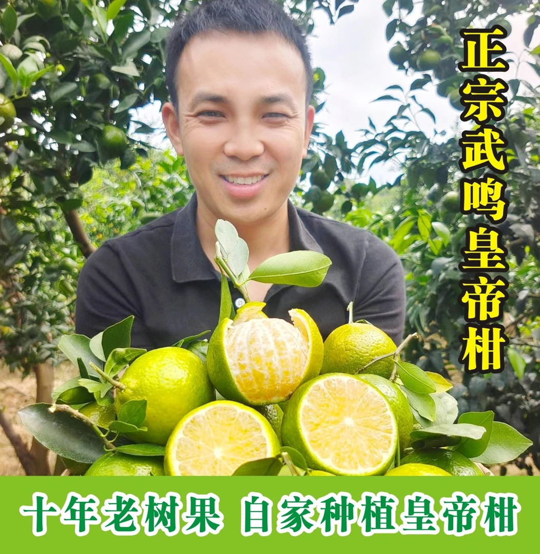 广西皇帝贡柑当季水果橘子孕妇果脆甜无酸清甜多汁新鲜采摘
