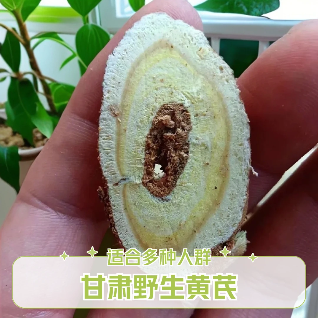 野生黄芪无硫特级甘肃中药材正品黄芪北芪片配党参当归泡水