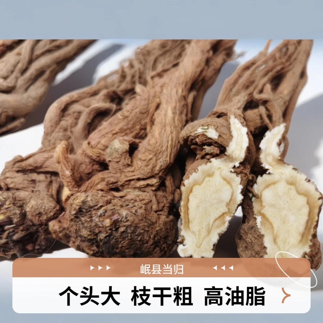甘肃岷县当归挑选产地高品质新货煲汤泡酒原产地发货