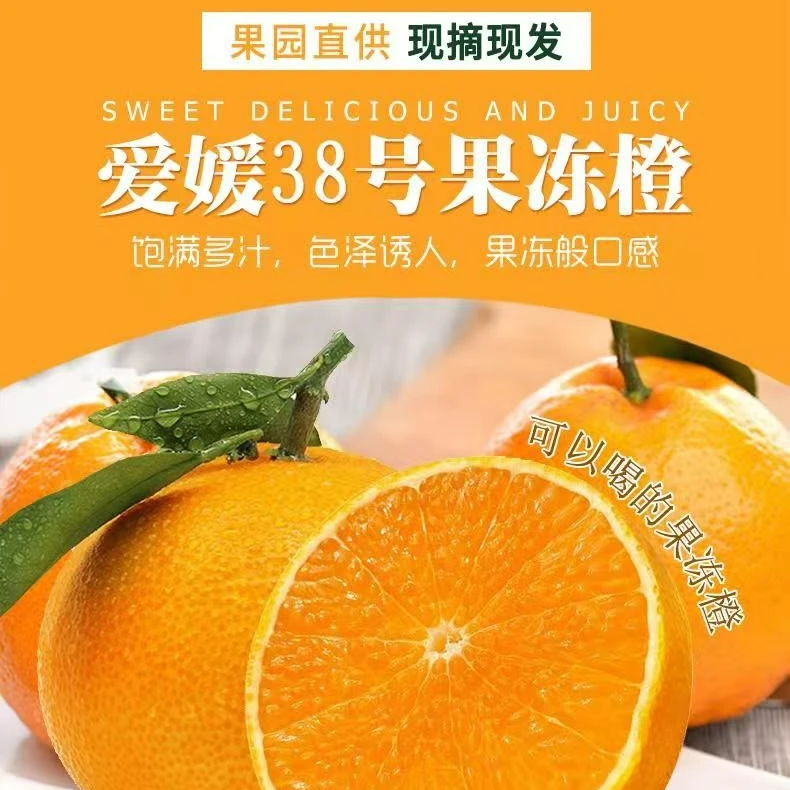 四川眉山爱媛38号果冻橙新鲜水果无籽手剥橙皮薄爆汁爱媛果冻橙