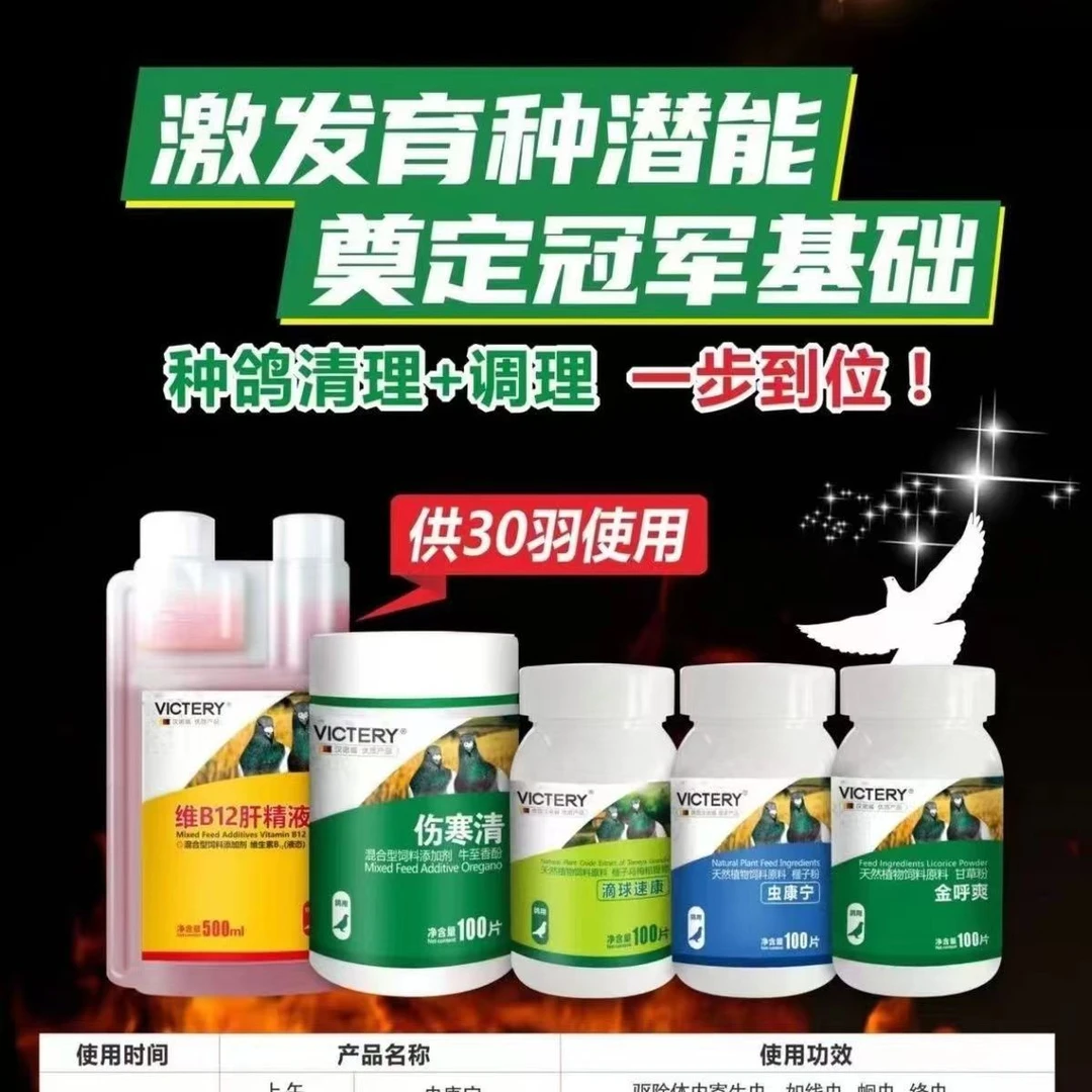 汉诺威种鸽整理套餐