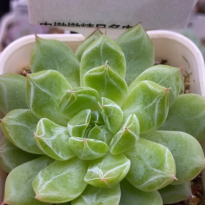 【闪购商品】25-37