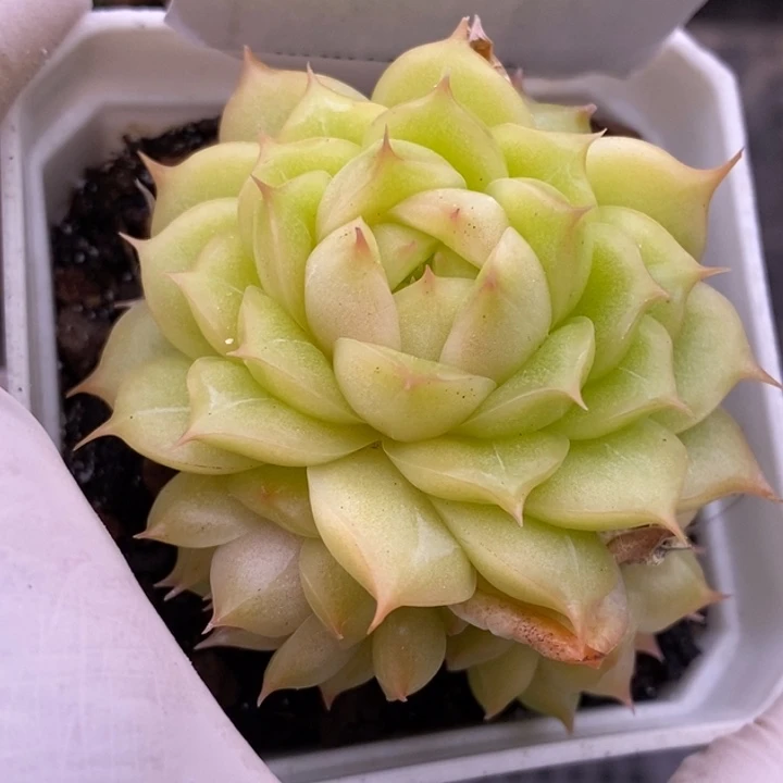 【闪购商品】27-14