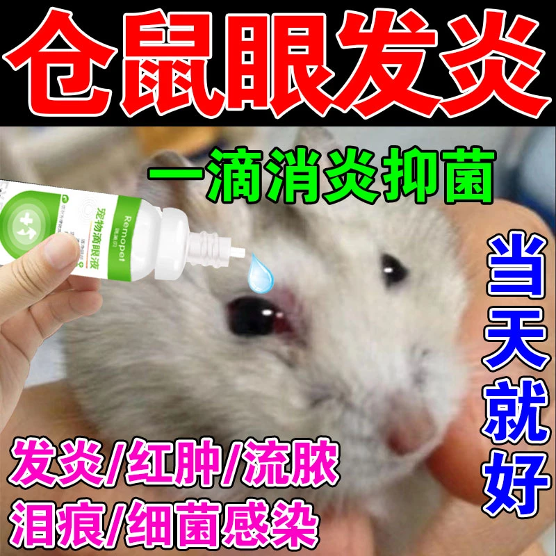 仓鼠滴眼液角膜炎泪囊炎结膜炎发炎红肿细菌感染消炎抑菌滴眼液