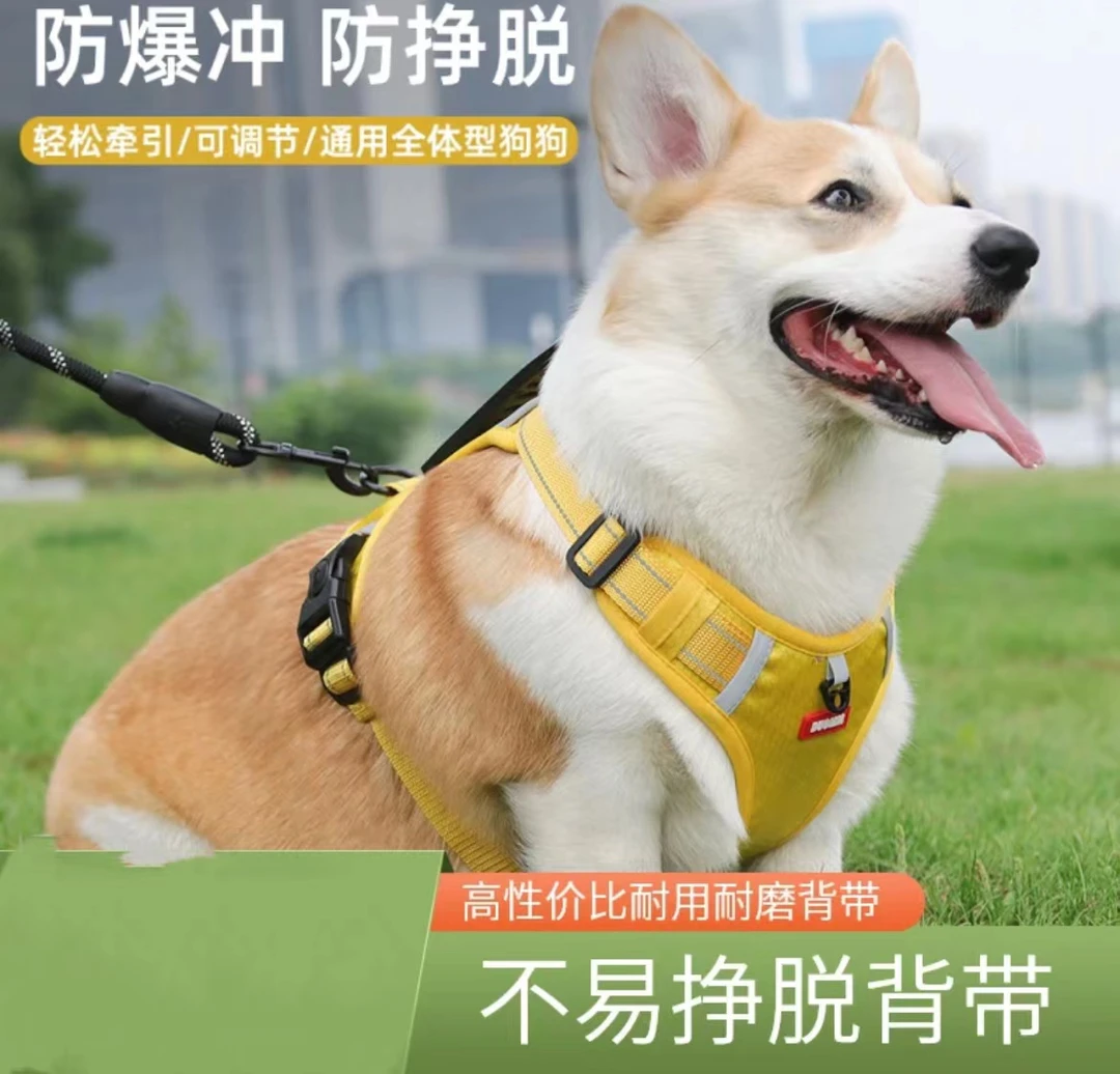 宠物胸背带狗狗遛狗绳牵引绳柯基泰迪中型犬幼犬背心式防爆冲项圈