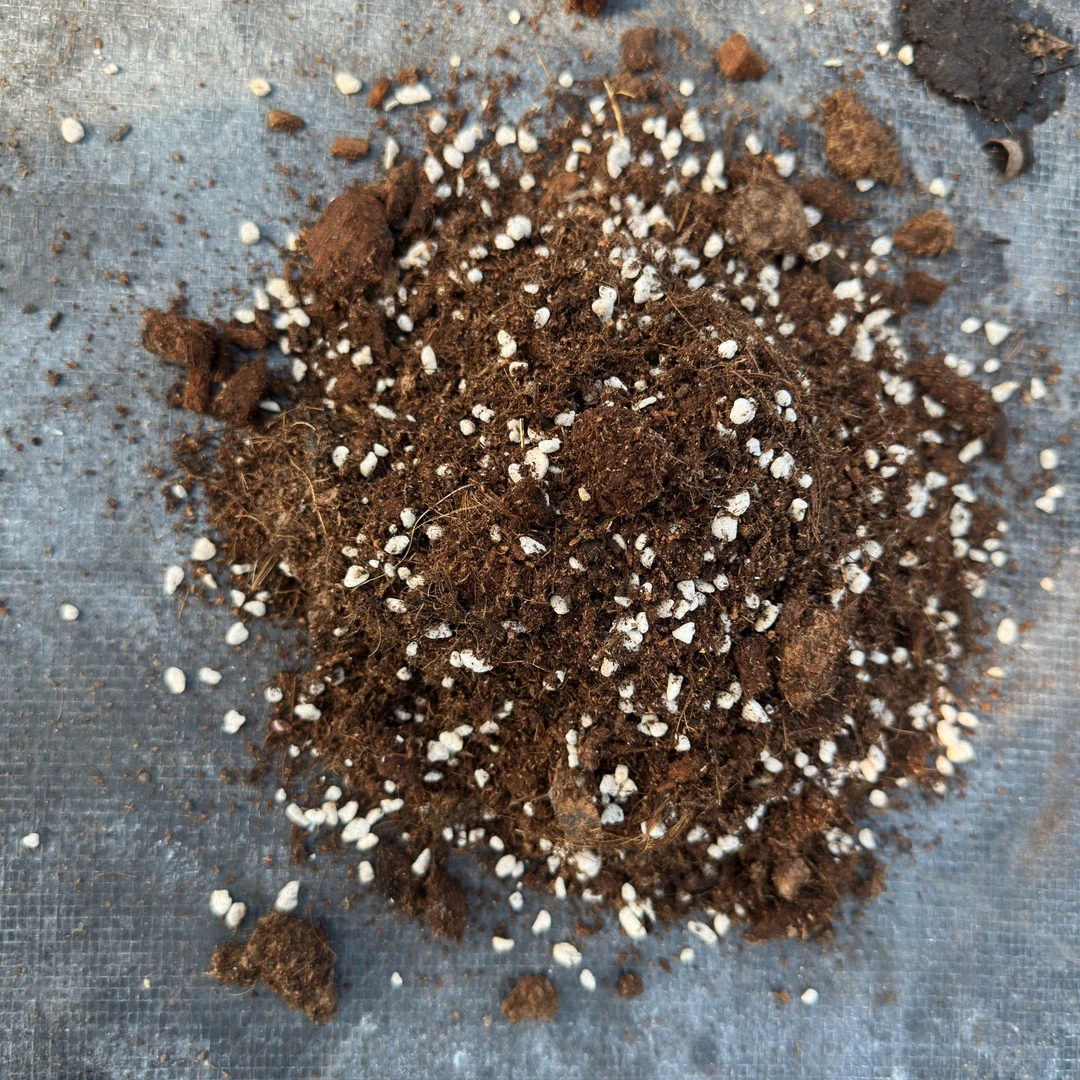 <8090花园>营养土月季专用土壤