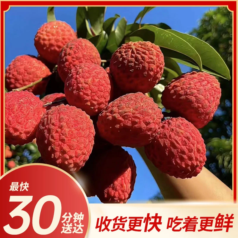 【小时达】冰荔荔枝 净重4.5斤 礼袋装 纯甜!!!