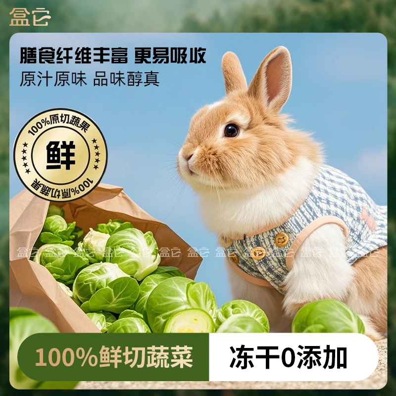 宠物兔狗冻干孢子甘蓝蔬菜磨牙零食金丝熊仓鼠荷兰猪水果饲料