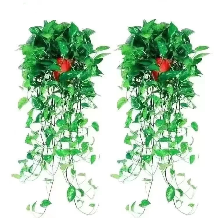 绿萝盆栽除甲醛净化空气室内办公室水培花卉绿植新房家用吸甲醛