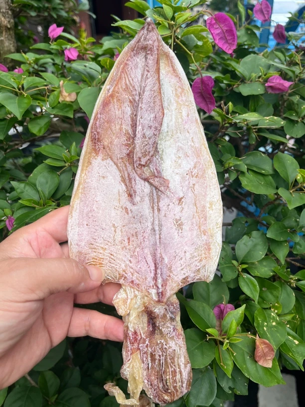 燕燕海产烧烤尤鱼干芥末A1鱿鱼干250克-500克包邮