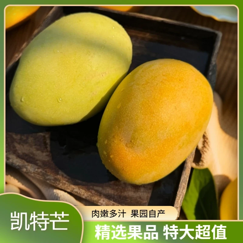 D（放软食用）攀枝花凯特芒果单果400g+带箱5斤到手2-6个坏果包赔