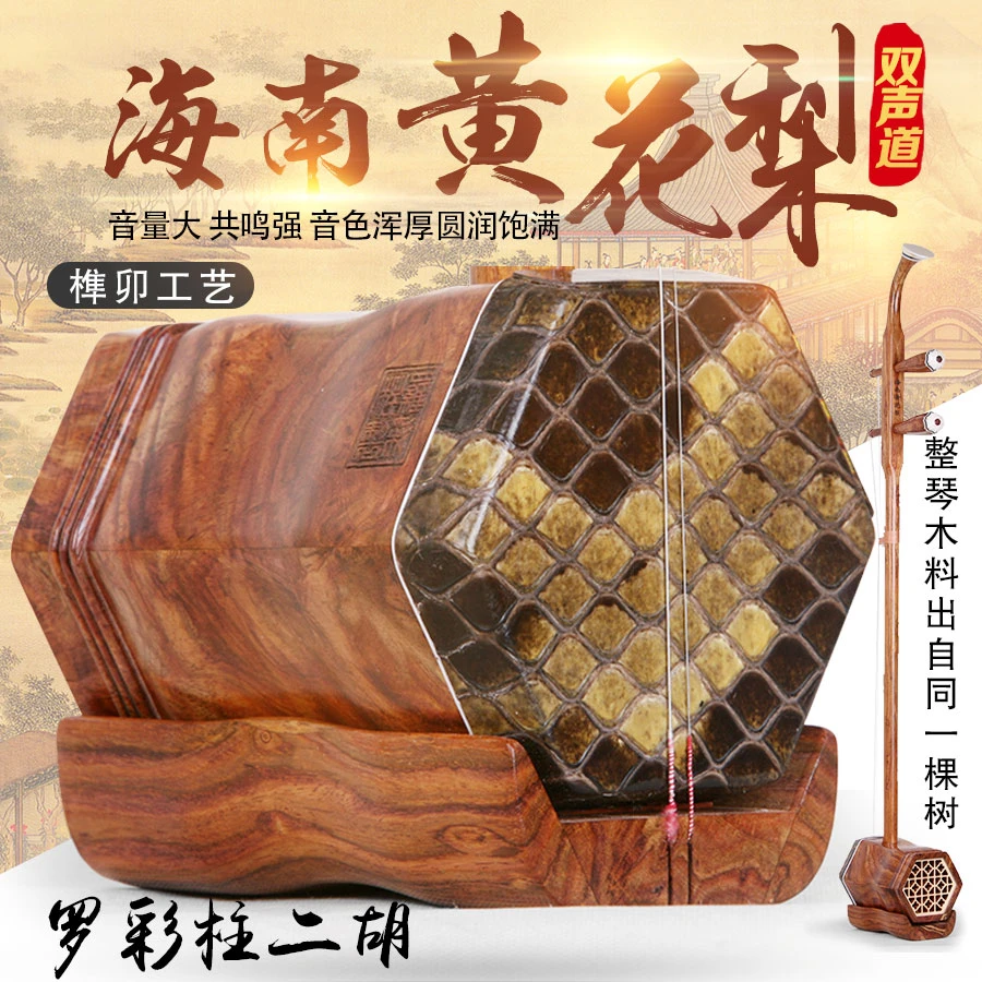 罗彩柱双声道音量大海南黄花梨二胡乐器厂家直销专业演奏收藏级
