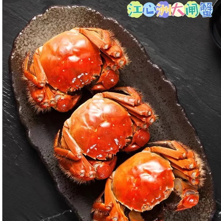 【母蟹】全母蟹（3.1两—2.8两）（江水养殖自然成熟.肉质鲜甜）8-10只装