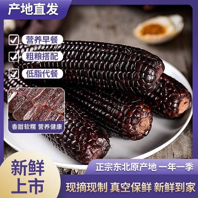 【试吃3根】24年东北黑糯玉米250-320g*10根清香甜软糯代餐粗粮饱腹