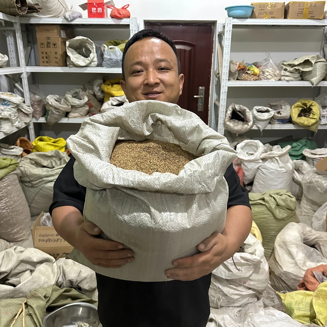 蛇床子 安徽蛇床子 生的种植的可代打粉