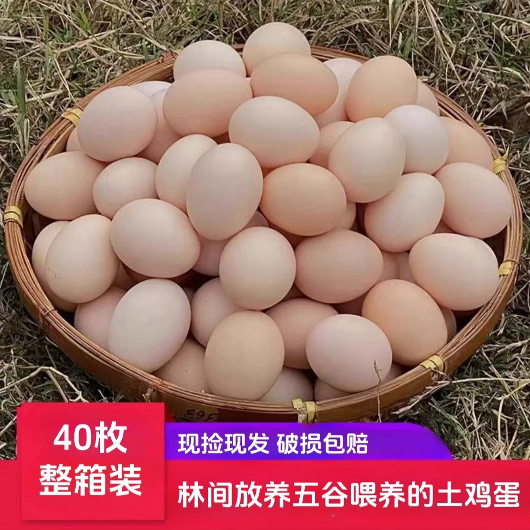 【小燕子】新鲜现捡现发土鸡蛋 草鸡蛋 40枚 净重3.2斤  破损包赔