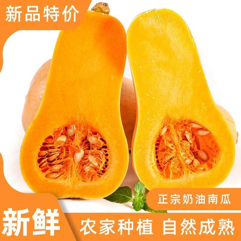 【五斤包邮】正宗陕西奶油南瓜软糯香甜新鲜小南瓜奶油南瓜