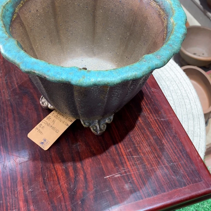 红陶20CM（含）-50CM（不含）幽*罗