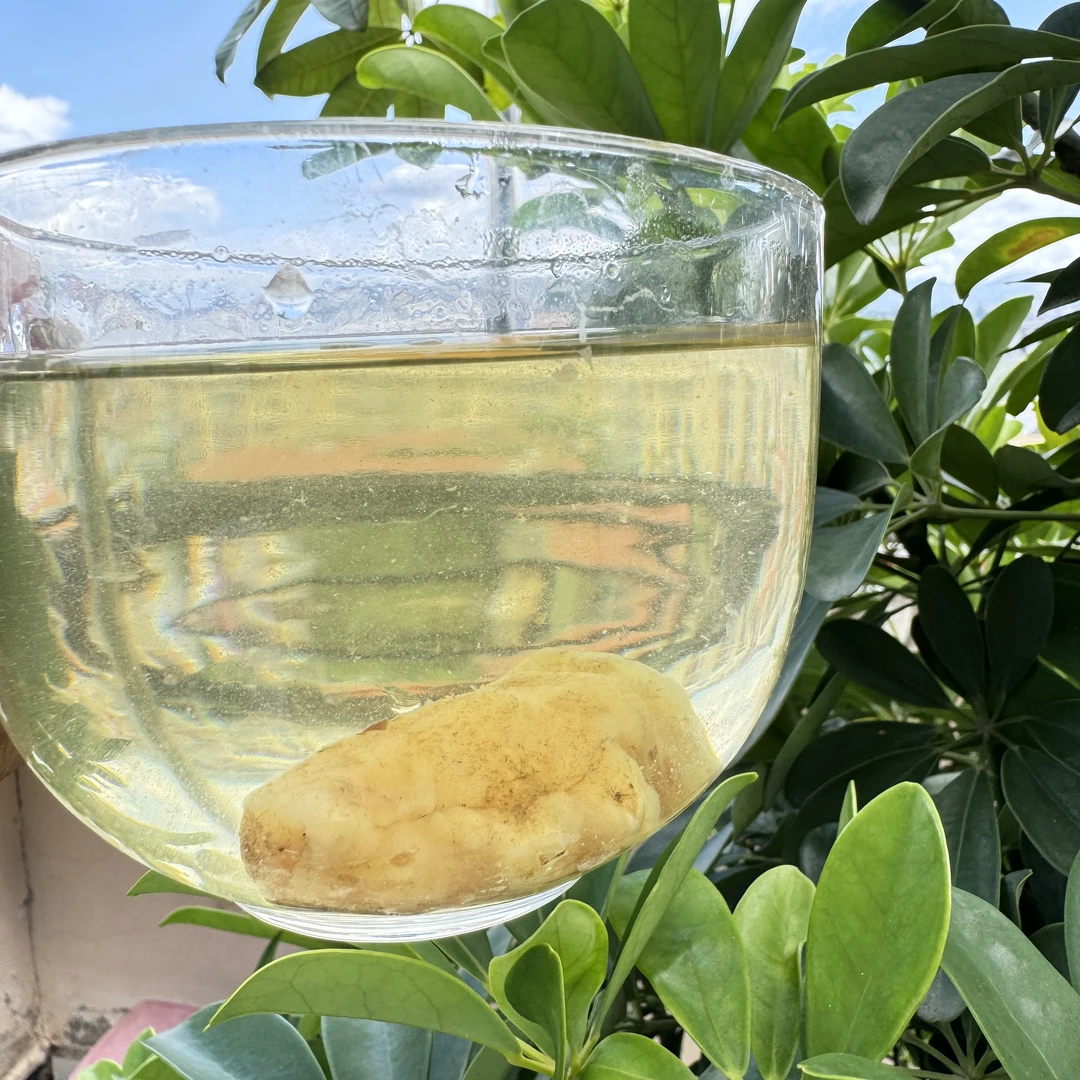 （小雪收好货）现收土特产 象-尾-七 250-500克食用农产品