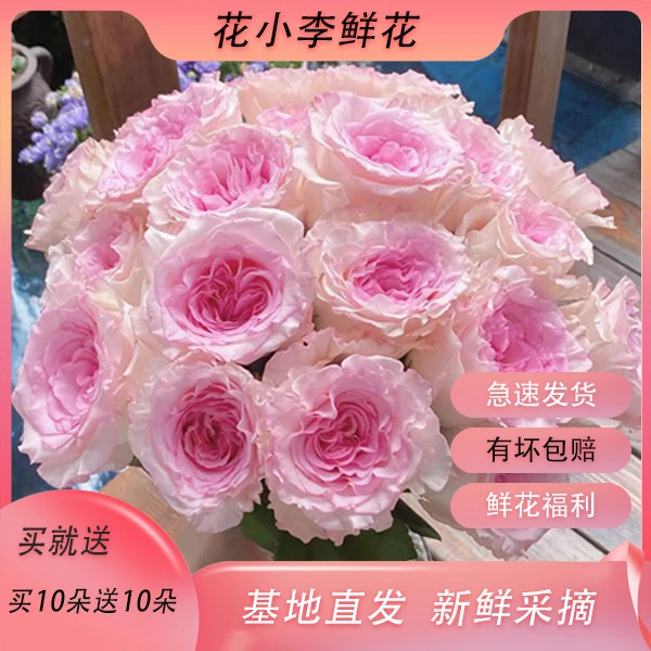 【顺丰包邮】云南斗南基地直发方德玫瑰花加保鲜剂