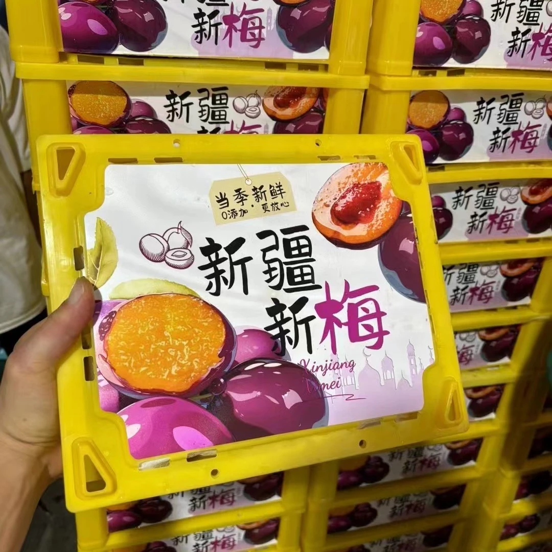 新疆 西梅1箱/约4斤