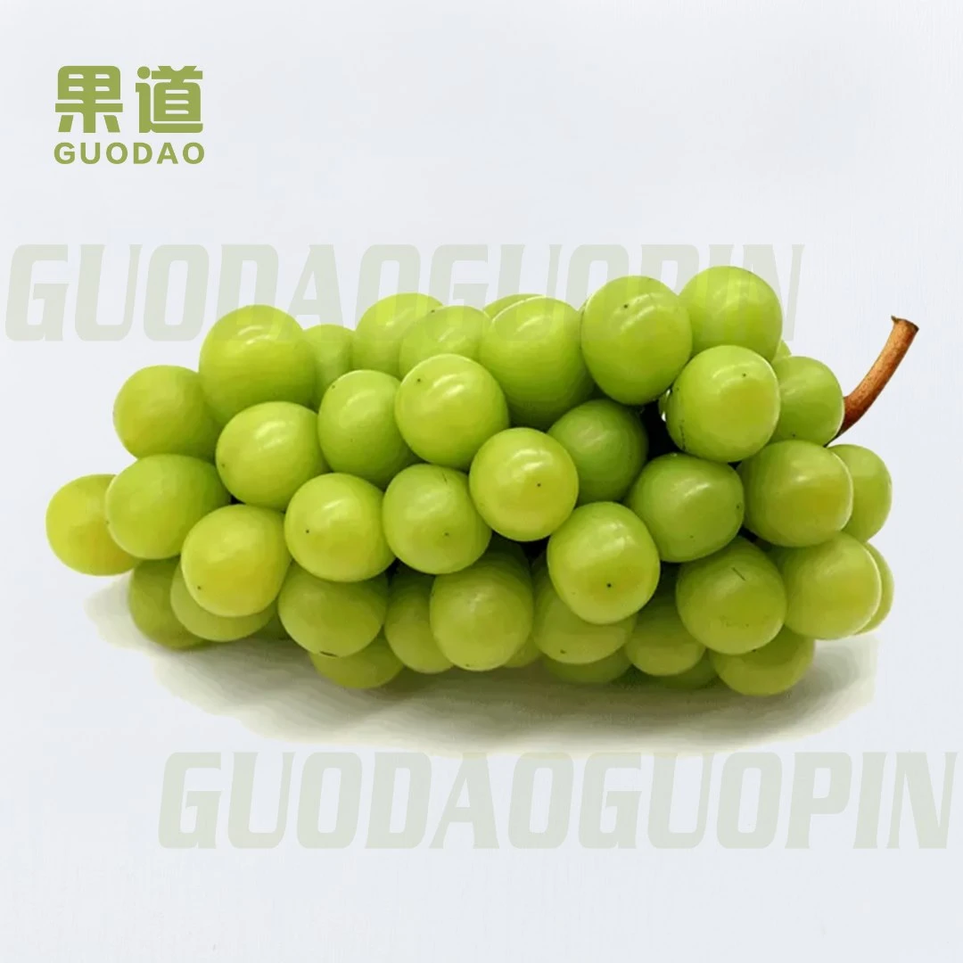 【整果】空运A级晴王葡萄250g（一级果大果）