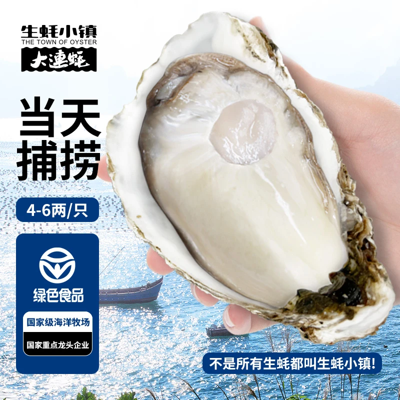 【生蚝小镇】5斤装4-6两 大连生蚝现捞直发 保鲜保活到家/顺丰