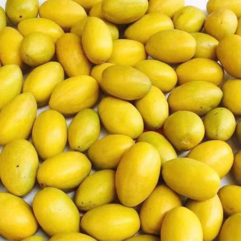 金灶本地三捻酥脆香回甘