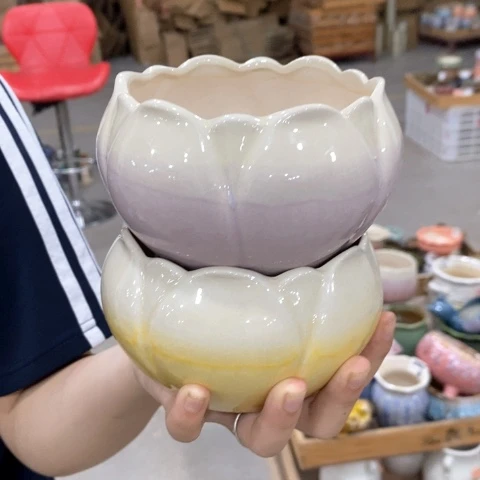 陶瓷20CM以下紫色，黄色莲花
